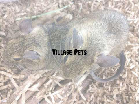 Village Pets photo